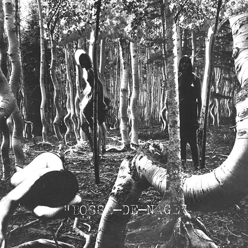 Bosse-de-Nage - Bosse-de-Nage